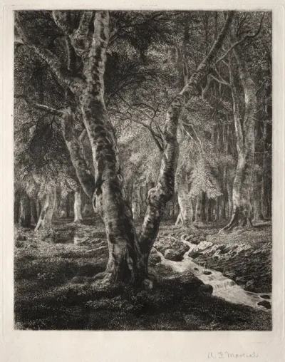 Forest of Pierrefonds