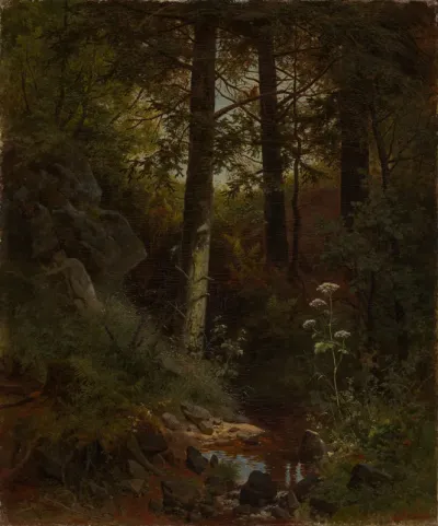 Forest solitude