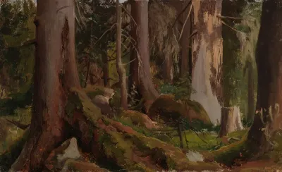 Forest, study