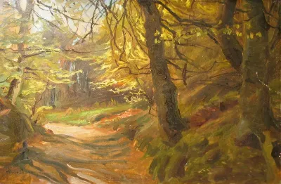Forest view.