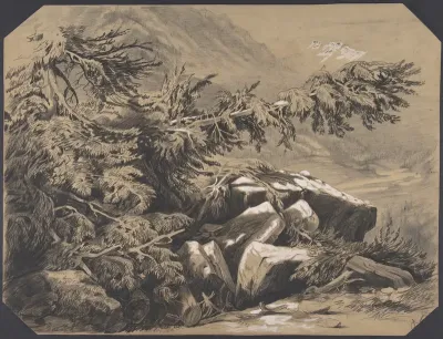 Fôrets et Montagnes