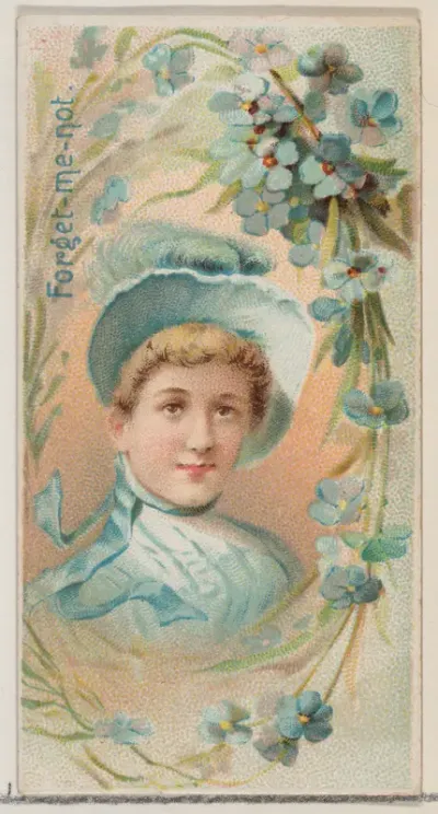 Forget-Me-Not, from the series Floral Beauties and Language of Flowers (N75) for Duke brand cigarettes