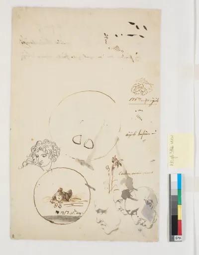 Forskellige udkast, bl.a. af flere hoveder og en høne med to [?] placeret i en cirkel