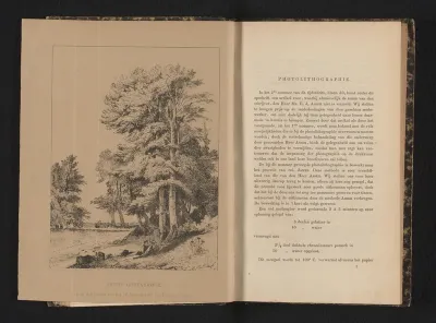 Fotoreproductie van een ets voorstellende mensen onder bomen in een landschap
