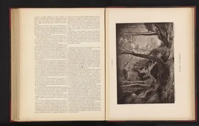 Fotoreproductie van het schilderij 'Ravin dAmélie' door Paul Gustave Robinet