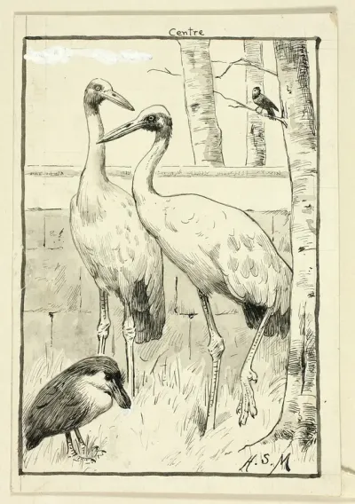 Four Birds in Landscape