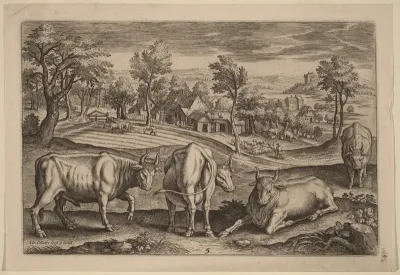 Four Bulls