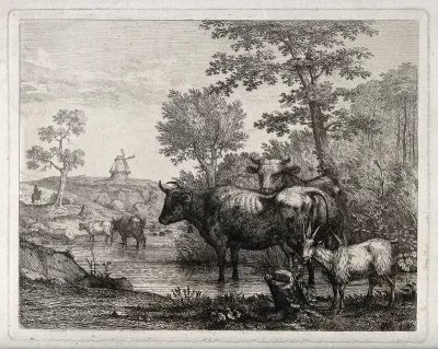 Four cows and a goat at a watering hole with a windmill in the distant background