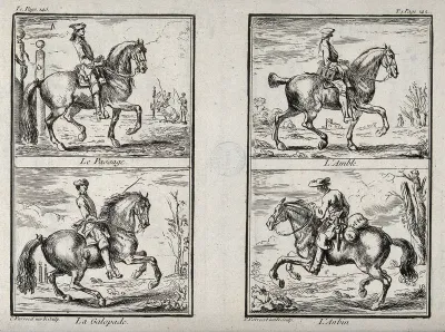 Four different paces and figures of the old school of horsemanship and riding, including the passage, amble and galop