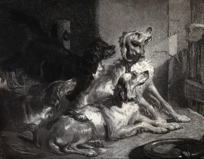 Four dogs sitting in a barn looking expectant at the door