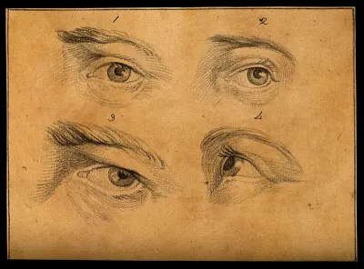Four eyes. Drawing, c. 1794
