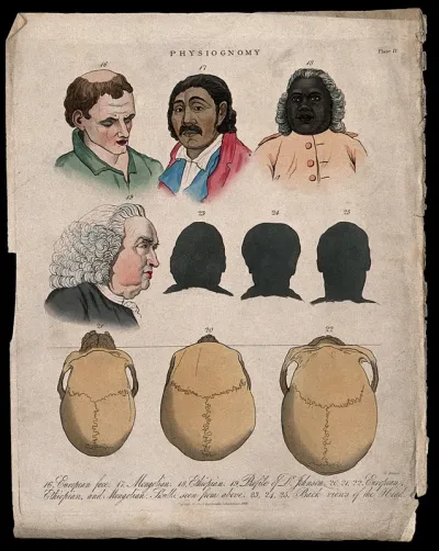 Four faces: a European, a Mongolian, an Ethiopian, and a profile of Samuel Johnson; three frontal silhouettes; three skulls of the same races seen from above (in the order European, Ethiopian and Mongolian)