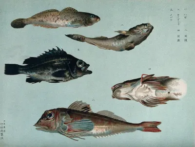 Four fish, and a detail of a fish