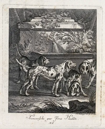 Four French par-force dogs in front of an overgrown water fountain
