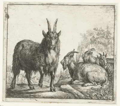 Four goats