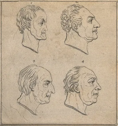 Four physiognomic profiles: clockwise from top left: a timid man, a man of good taste, a prudent observer, and a sensualist
