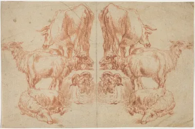 Four Sheep and a Cow