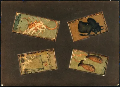 Four signs of the zodiac: Pisces (the fish), Libra (the scales), Scorpio (the scorpion) and Taurus (the bull)