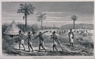 Four slaves in East Africa chained at the neck carrying brushwood fuel; other slaves chained at the neck working in rice fields