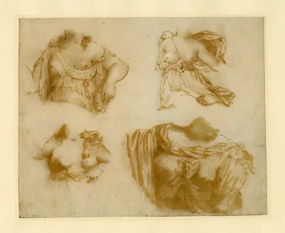 Four Studies of a Draped Torso