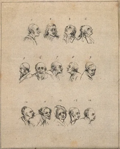 Fourteen physiognomies