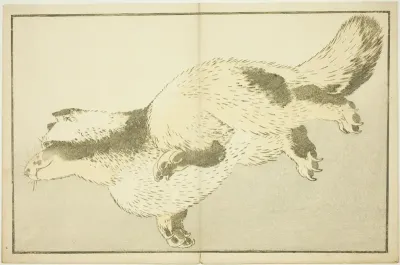 Fox, from The Picture Book of Realistic Paintings of Hokusai (Hokusai shashin gafu)