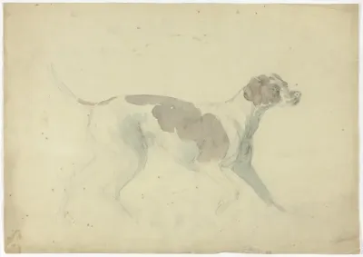 Fox Hound (recto); Sketches of Horse and Rider (verso)