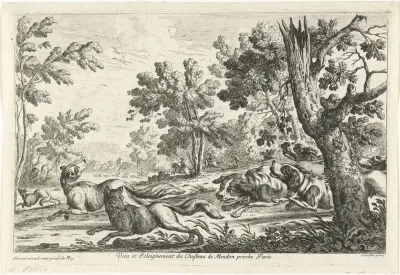 Fox Hunt