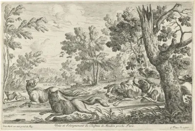 Fox Hunt