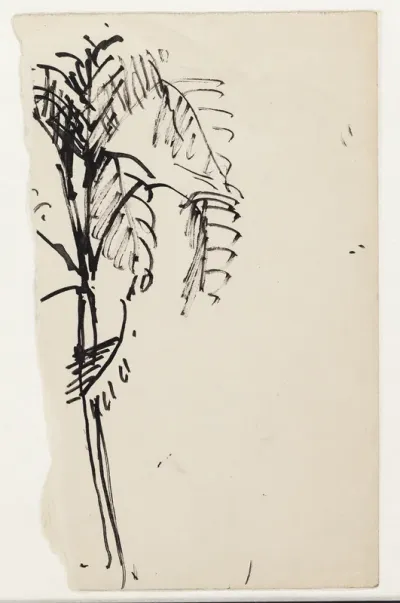Fragment af en tegning af en palme