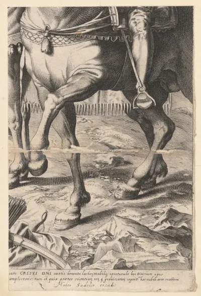 Fragment koňa