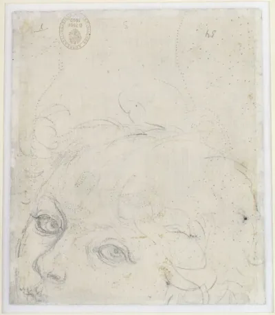 Fragment of a Head of a Young Boy (verso)