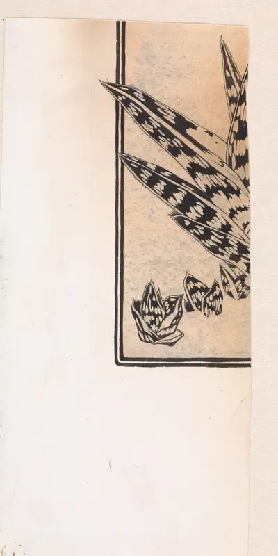 Fragment van een studie van een vetplant