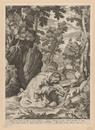 Franciscus in de wildernis