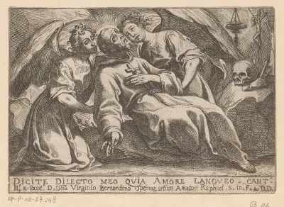 Franciscus van Assisi in extase