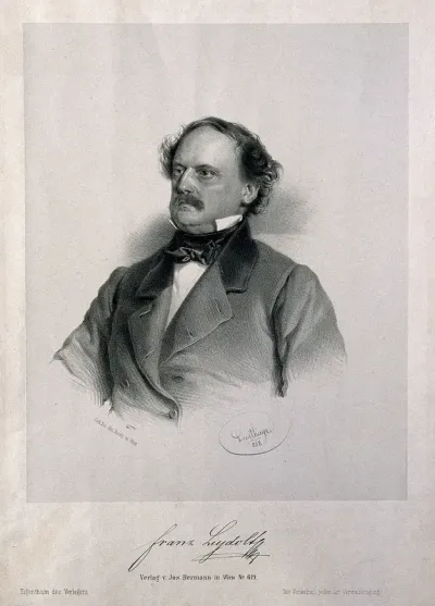 Franz Leydolt. Lithograph by A. Dauthage, 1858