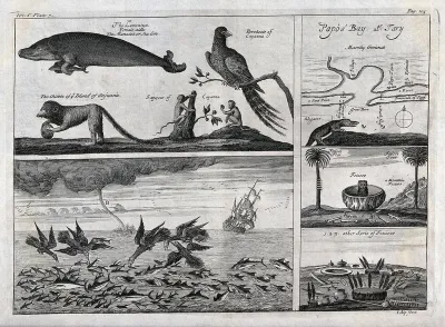 French Guiana: above, a sea-lion and a parakeet next to a map of Papo's bay; below, fish being devoured by birds in the open sea with a tornado raging in the background next to a cauldron with an animal inside standing between palm-trees