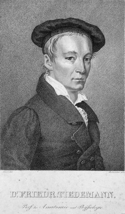 Friedrich Tiedemann