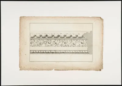 Friezes with roses and leaf motives (1)