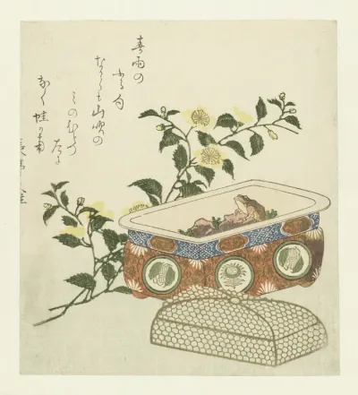 Frog and Spray of Kerria Japonica