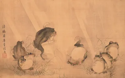Frogs in Sumo Match
