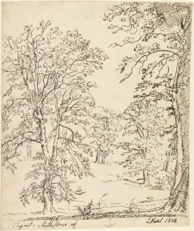 From Metteskov