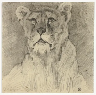 Front View of Seated Lioness