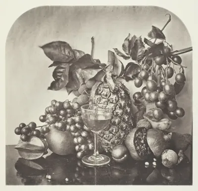 Fruit
