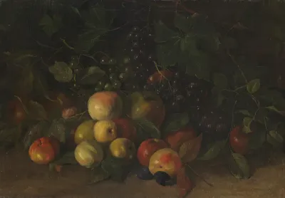 Fruit still life with apples and grapes