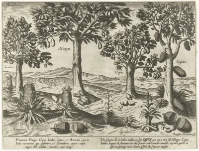 Fruitbomen en -struiken uit Oost-Indië
