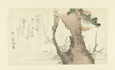 Fuji en een pijnboom