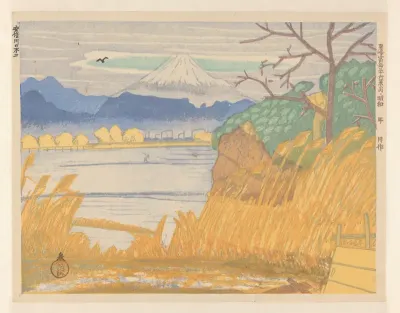Fuji vanaf de Abe-rivier