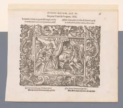 Furiën bij het huwelijksbed van Tereus en Procne