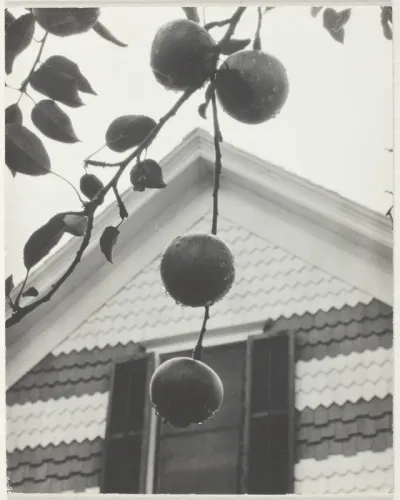 Gable and Apples